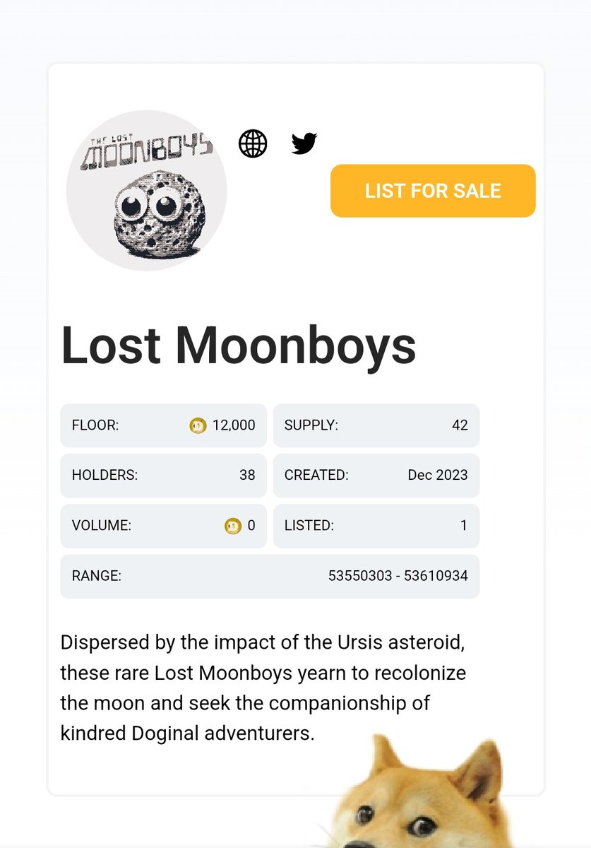 The Lost Moonboys tweet media