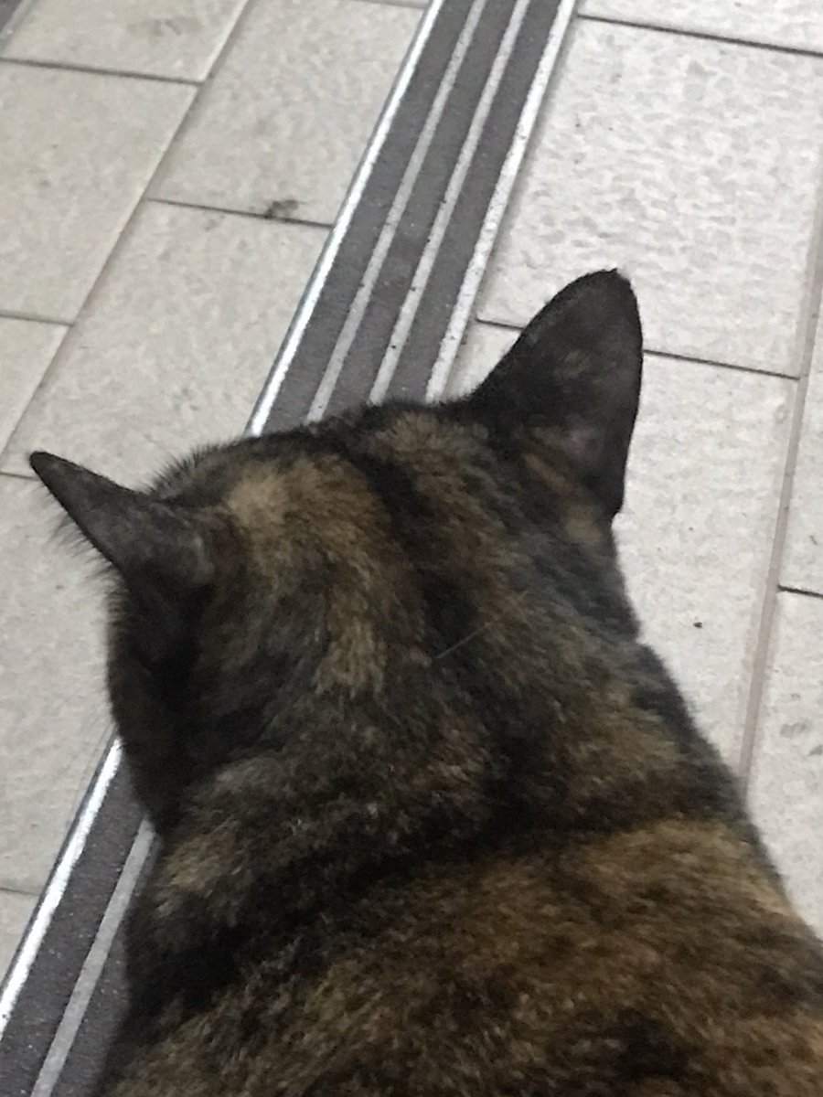 พณิชณาย (@phanichxnai) on Twitter photo 