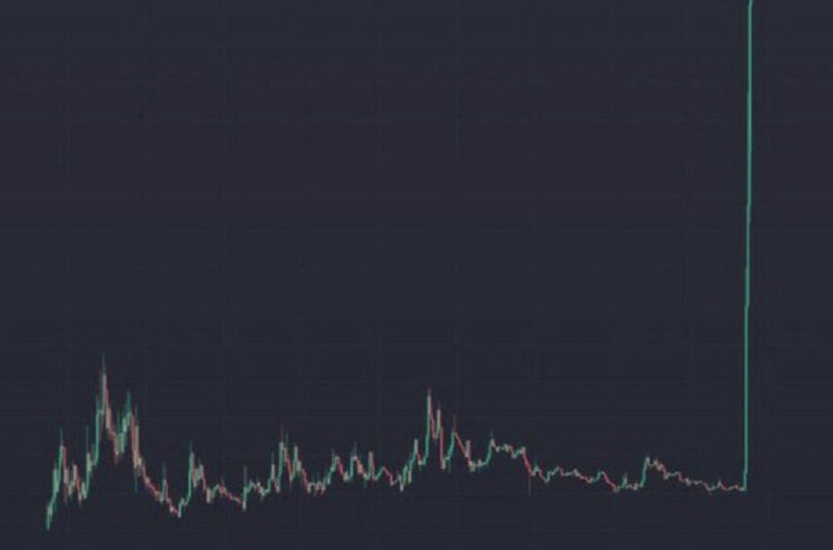 DUCKDcoin's tweet photo. future of $DUCKD coin, even #DonaldTrump gets #DUCKD.
get $DUCKD in from https://t.co/px7cm8PX8g before everyone. #memecoin https://t.co/FL918tyt6k