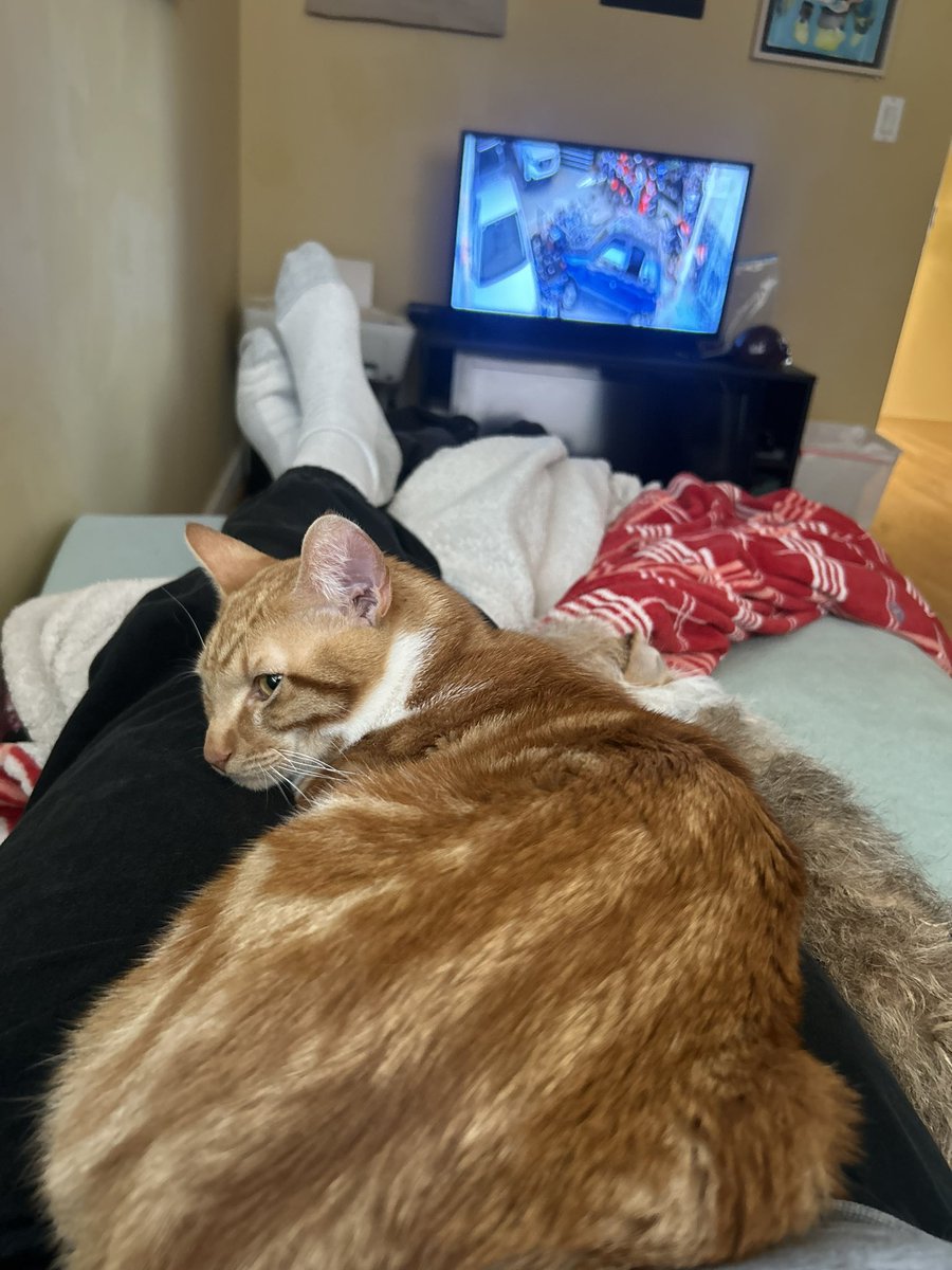When you got pneumonia, my pets of stepped up and are taking care of me