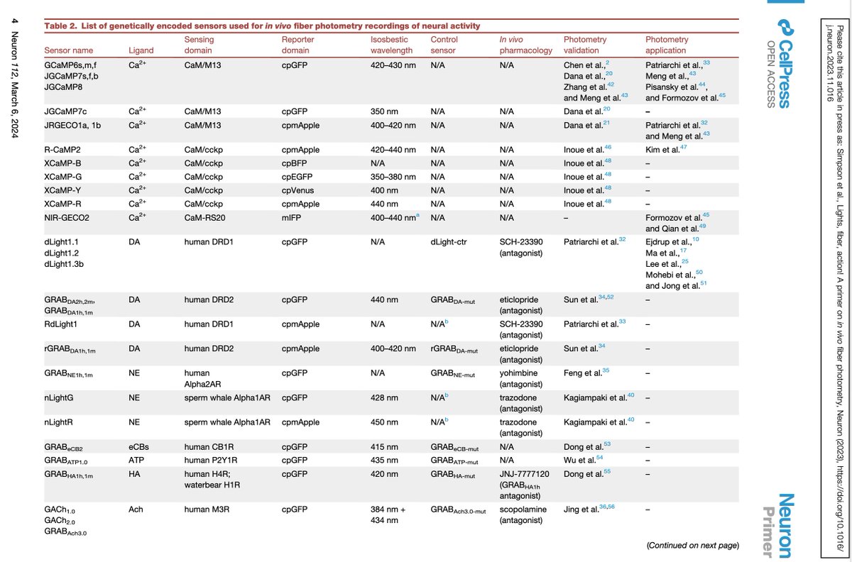 Ali Mohebi tweet media