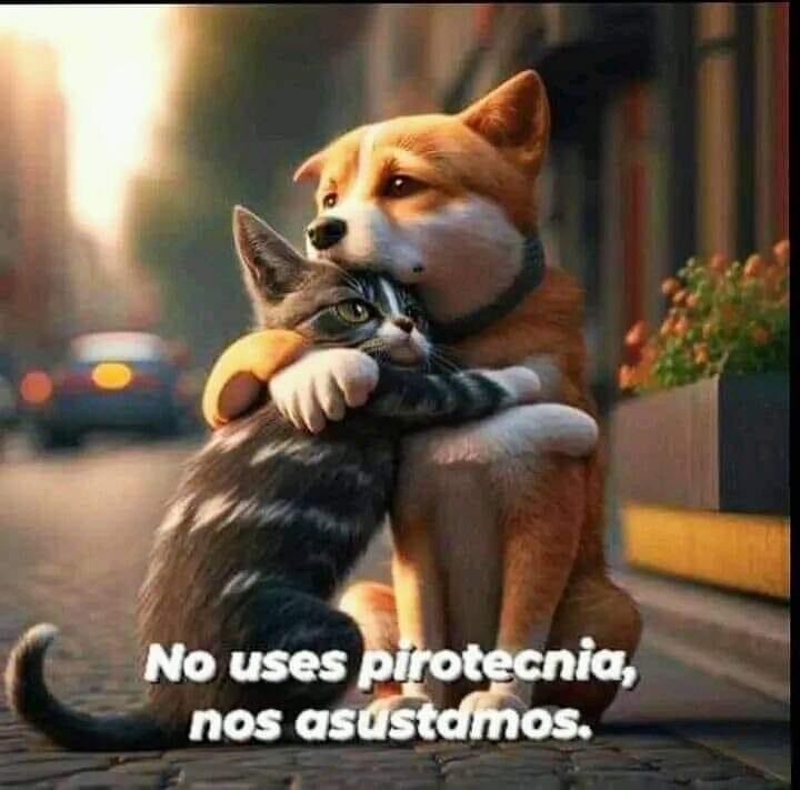 mayumiguillen's tweet photo. https://t.co/w4vymMwWQa