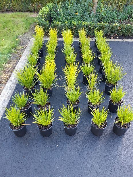 Plantgroup tweet media