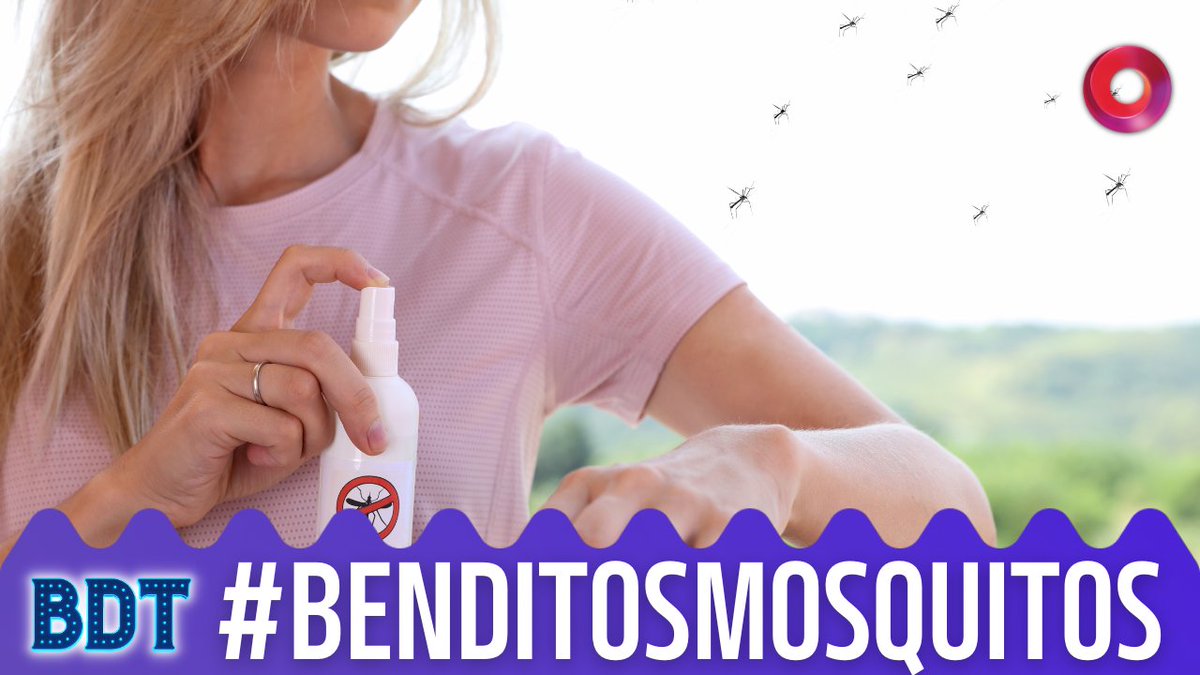 #Bendita | ¡¡Invasión de mosquitos en la ciudad!! Señora a cuidarse porque nos van a comer por completo 🦟🦟 Usá #BenditosMosquitos y participá del último programa del 2023 @Edi_hermida @wqueijeiro @alemaglietti @LaRomiScalora @SoyPaganiok @flax_mariano