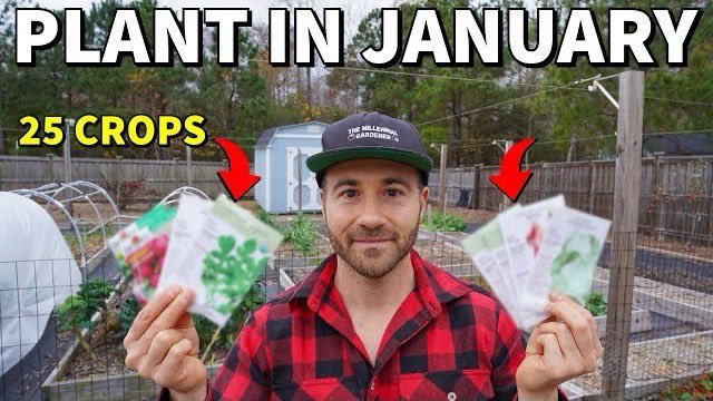 NCGardening's tweet photo. New YouTube vid! Here are 25 veggies you can plant in #January now! Seed starting season has begun 😊

https://t.co/HG2ieaOPu5

#startingseeds #garden #gardening #gardeninglife #gardeninglove #vegetablegarden #vegetablegardening #ediblelandscaping #growyourown #growyourownfood https://t.co/dAi7kDeDXt