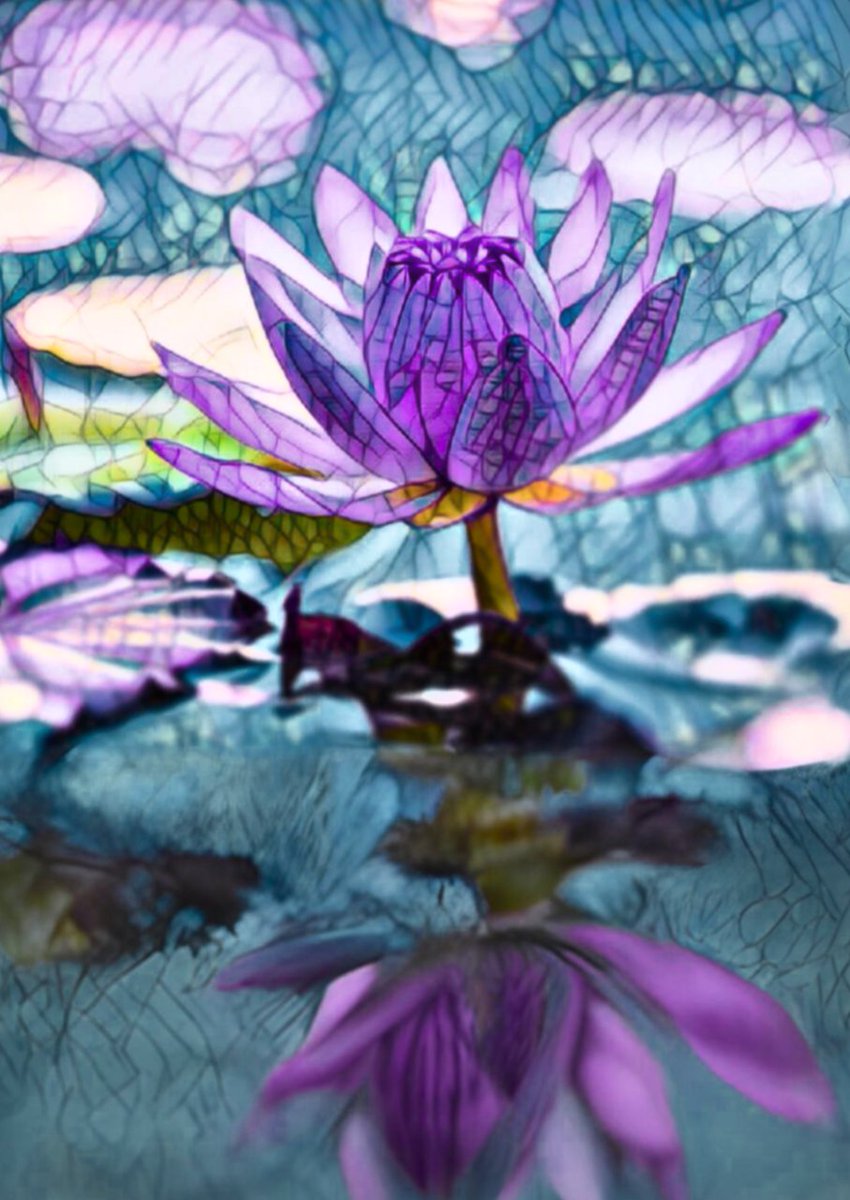 🌸✨ Unveil tranquility in your space with 'Shattered Lotus on Pond'

Elevate your walls with this print that brings a peaceful aura to any room 🖼️💜

Get yours now!
🔗 tee.pub/lic/qpX6Vg9Hw3w

#ArtPrint #HomeDecor #MBLifeNFTs #HICeeCee