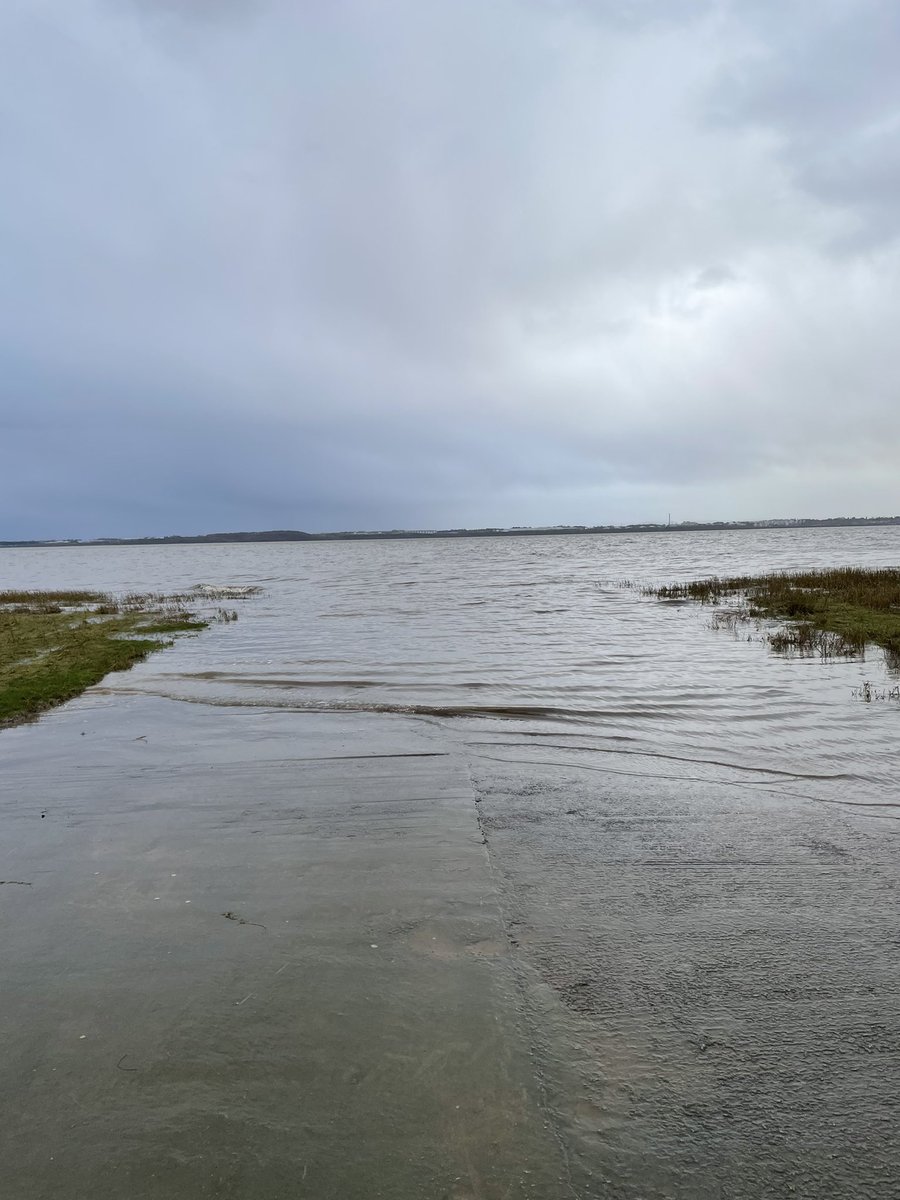 DrDavidCooper's tweet photo. Mersey Paradise: walking through the Garston-Speke Nature Reserve, between cloudbursts, earlier on today #Liverpool https://t.co/cYn8OCPt8I