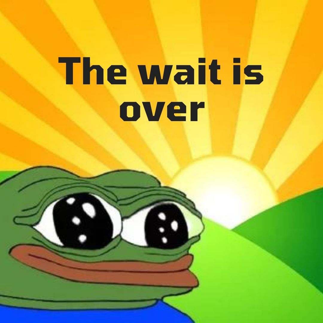 Frog Ecosystem tweet media