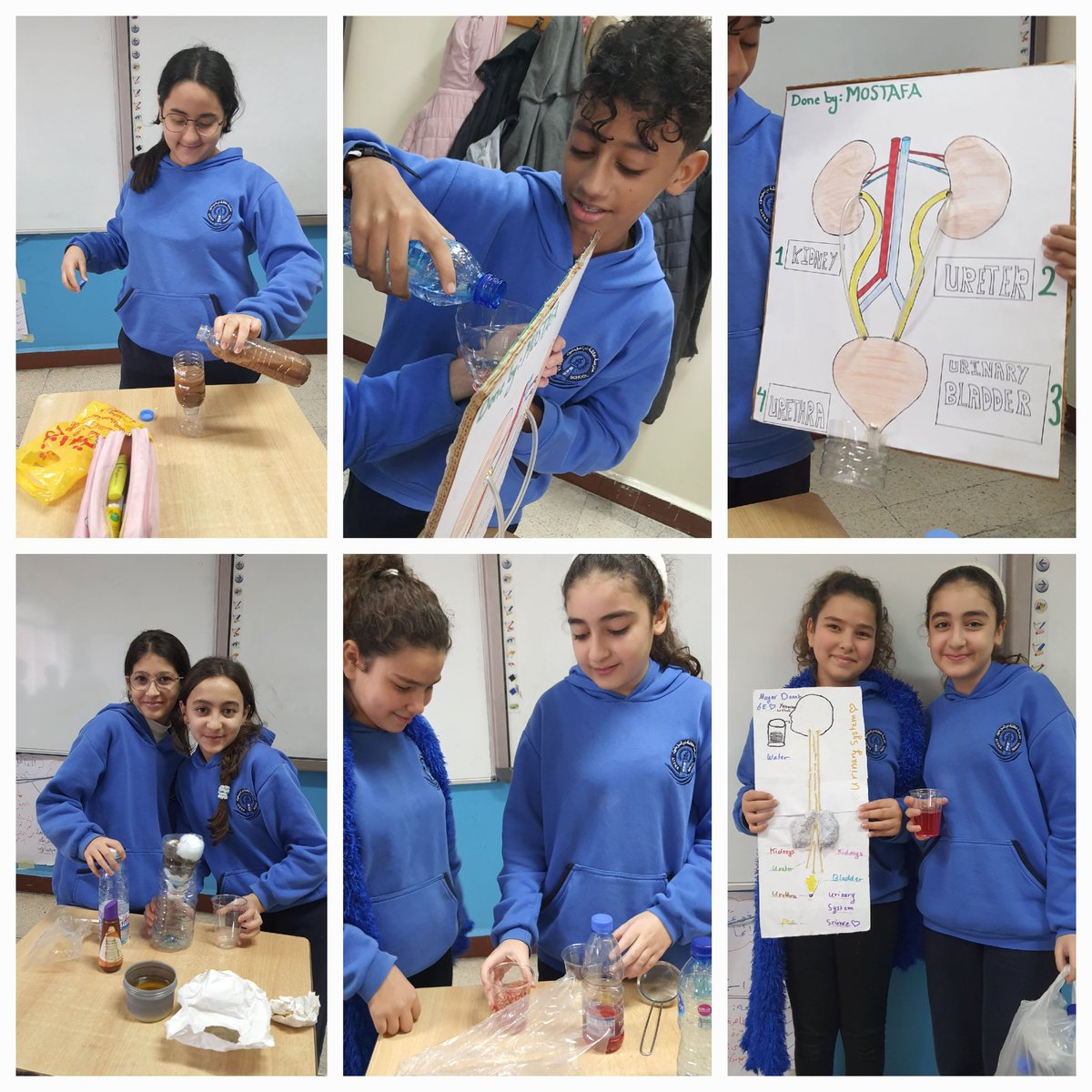 More of our grade 6 young engineers' models! Filtration models were built and presented to the class to clarify the role of kidneys in our body.
<a href="/NElakhdar/">Nour elakhdar</a> <a href="/MakAishaSchool/">MakAishaSchool</a>
