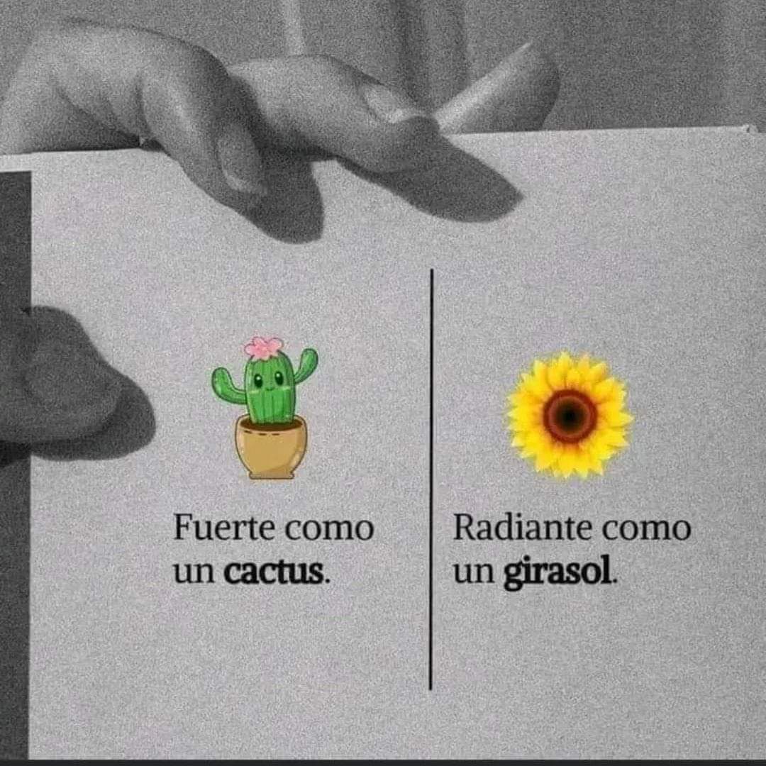ErikaUr79's tweet photo. #ViernesDeCierreYComienzo teniendo bien claro, que siempre hay que dar lo mejor de nosotros
#EquipoADMM 
#TlalnepantlaDeBaz
#ErikaUrbano https://t.co/NWpOmjaM0J