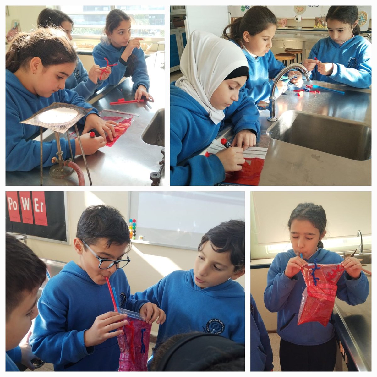 Dima_Chamieh's tweet photo. Grade 5 students were able to explain the role of the heart, veins and arteries in our circulatory system using an innovative design! They created an inflatable heart, worked on it, and tested it! How cool is that?
@NElakhdar @MakAishaSchool https://t.co/k2kIk55sBY