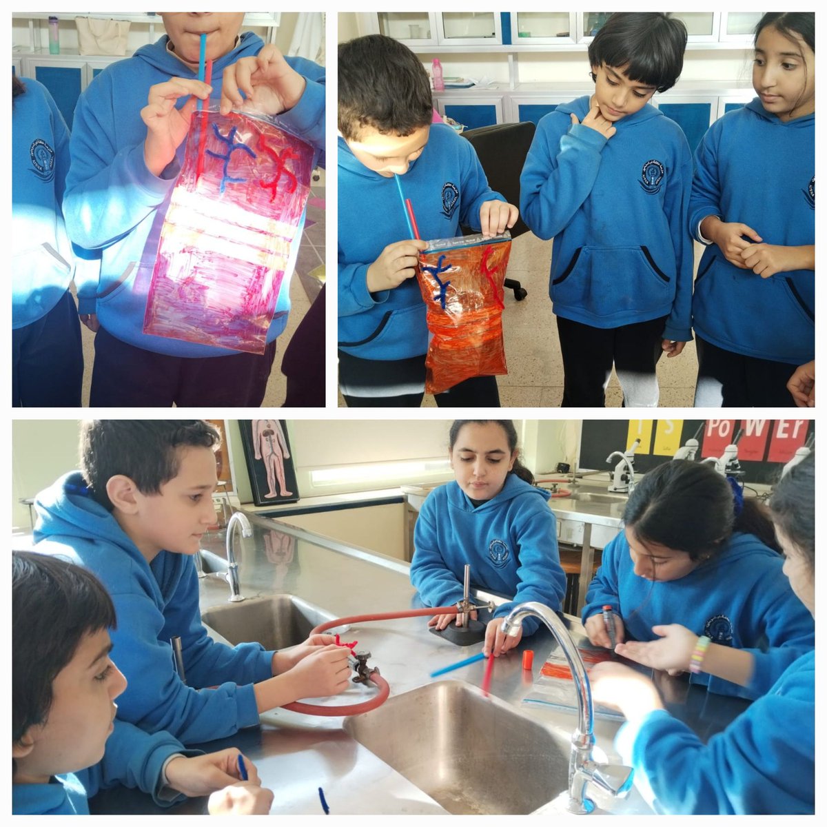 Grade 5 students were able to explain the role of the heart, veins and arteries in our circulatory system using an innovative design! They created an inflatable heart, worked on it, and tested it! How cool is that?
<a href="/NElakhdar/">Nour elakhdar</a> <a href="/MakAishaSchool/">MakAishaSchool</a>