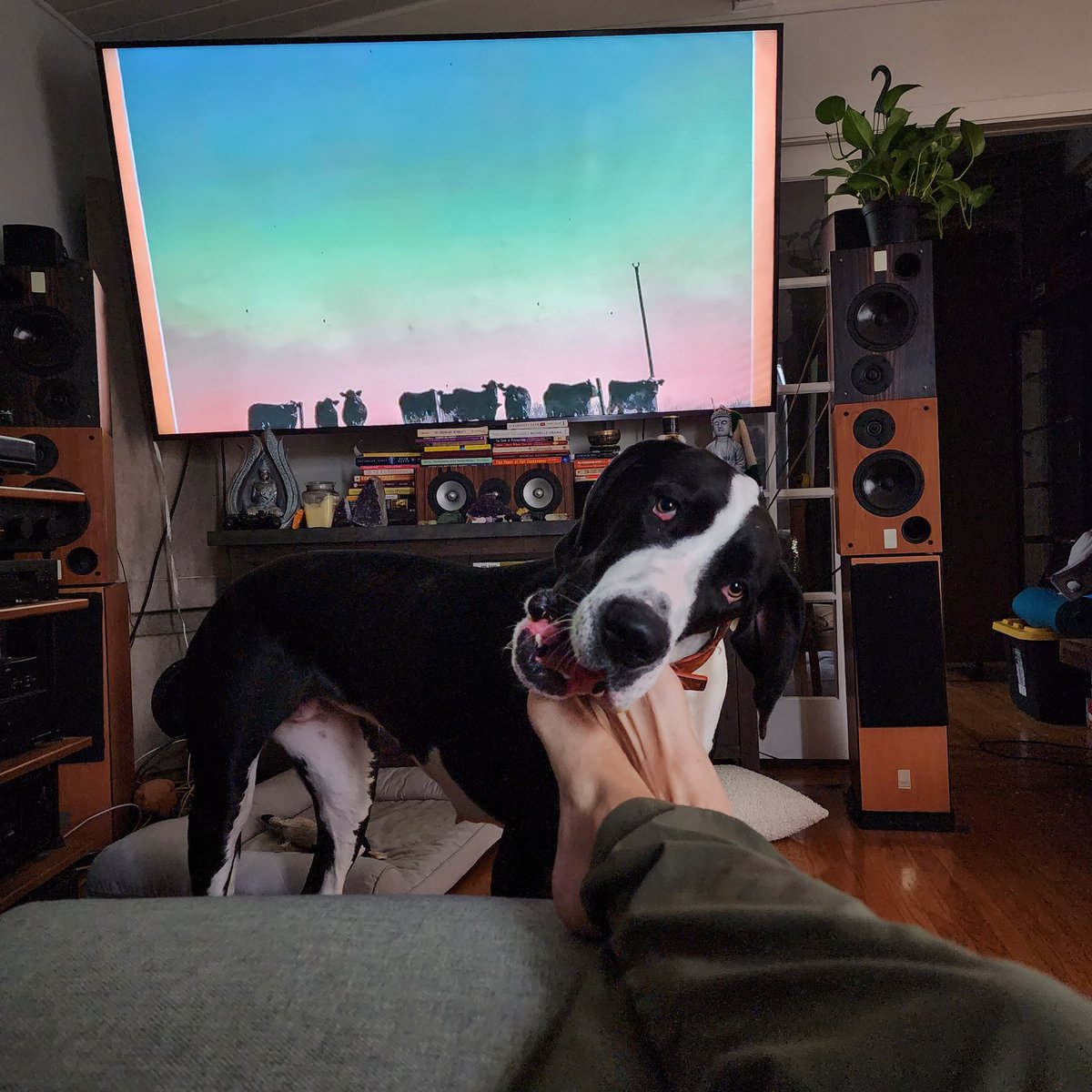 FrontEndTech's tweet image. #khruangbin I am.