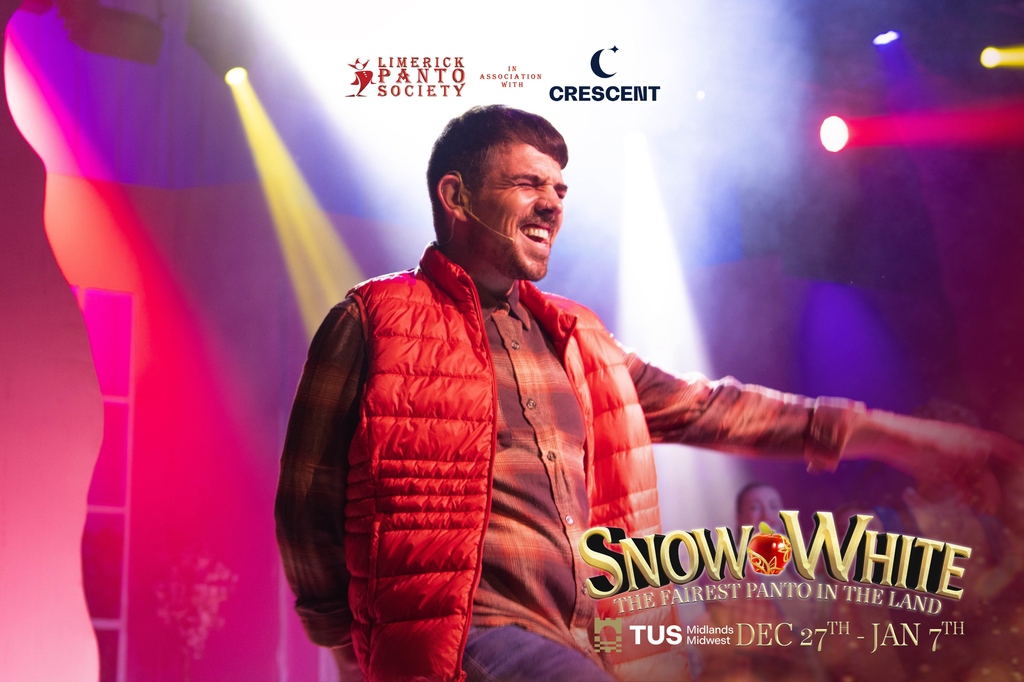Limerick Panto Society tweet media