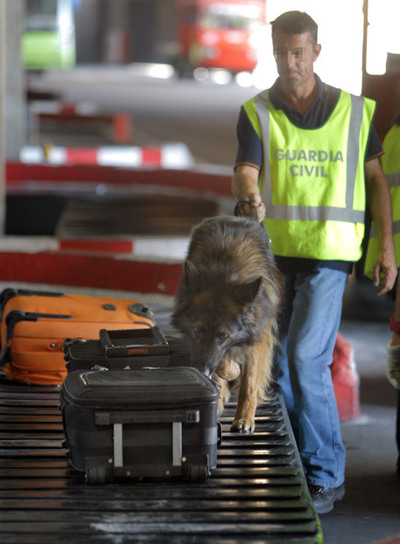 Los puedes ver en los puertos y aeropuertos revisando los equipajes en busca de explosivos y sustancias no permitidas. Para ellos es solo un juego, pero realmente prestan un servicio a la ciudadanía

Los canes del #ServicioCinológico trabajan para dar seguridad a la ciudadanía