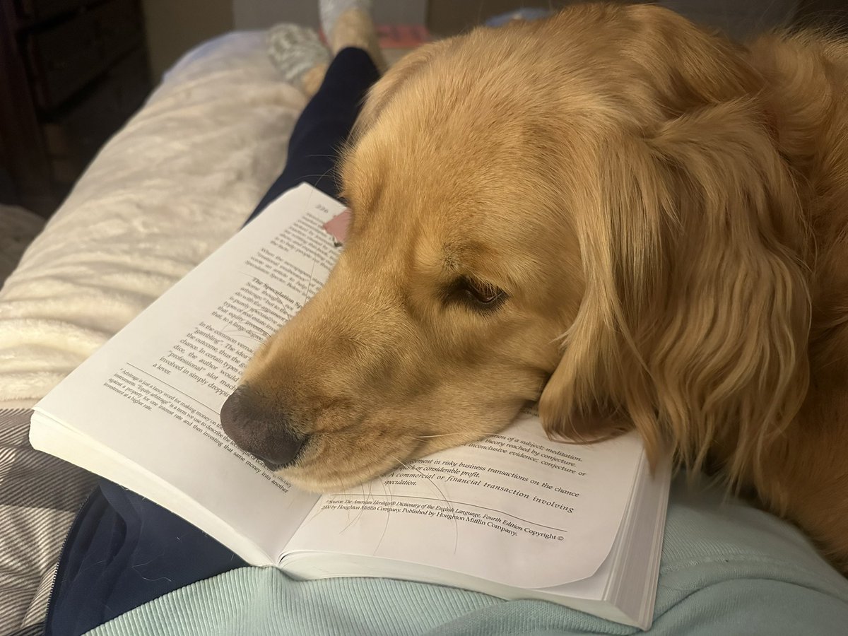 Mercperc's tweet photo. Jack has decided to know more about Equity by reading Equity Happens 🔥✅

Appreciate this read, thanks @REGuysRadio 💯 https://t.co/3iT78npgv1