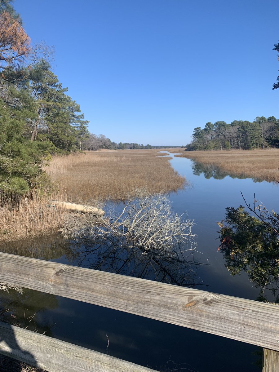 Taking advantage of a beautiful late December afternoon. 🏃🏼‍♀️  #breakwatertrail #lewesde