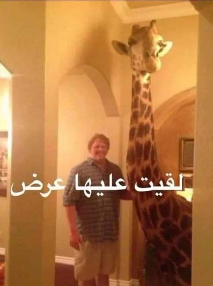 egymeme11's tweet photo. لما أقبض هبدأ أحوش وأسيب فلوس للمستقبل 

أنا أول ما المرتب ينزل  : https://t.co/pRIAHf3mwo