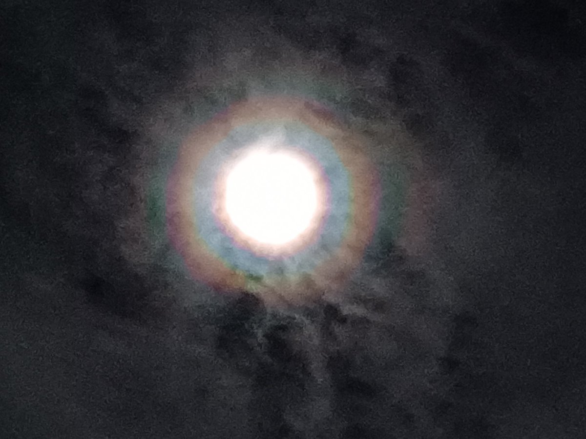 FrancesProud's tweet photo. Amazing moon https://t.co/c6b42mNEZn