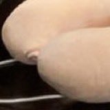 Pobi-Wan Kenobica tweet media