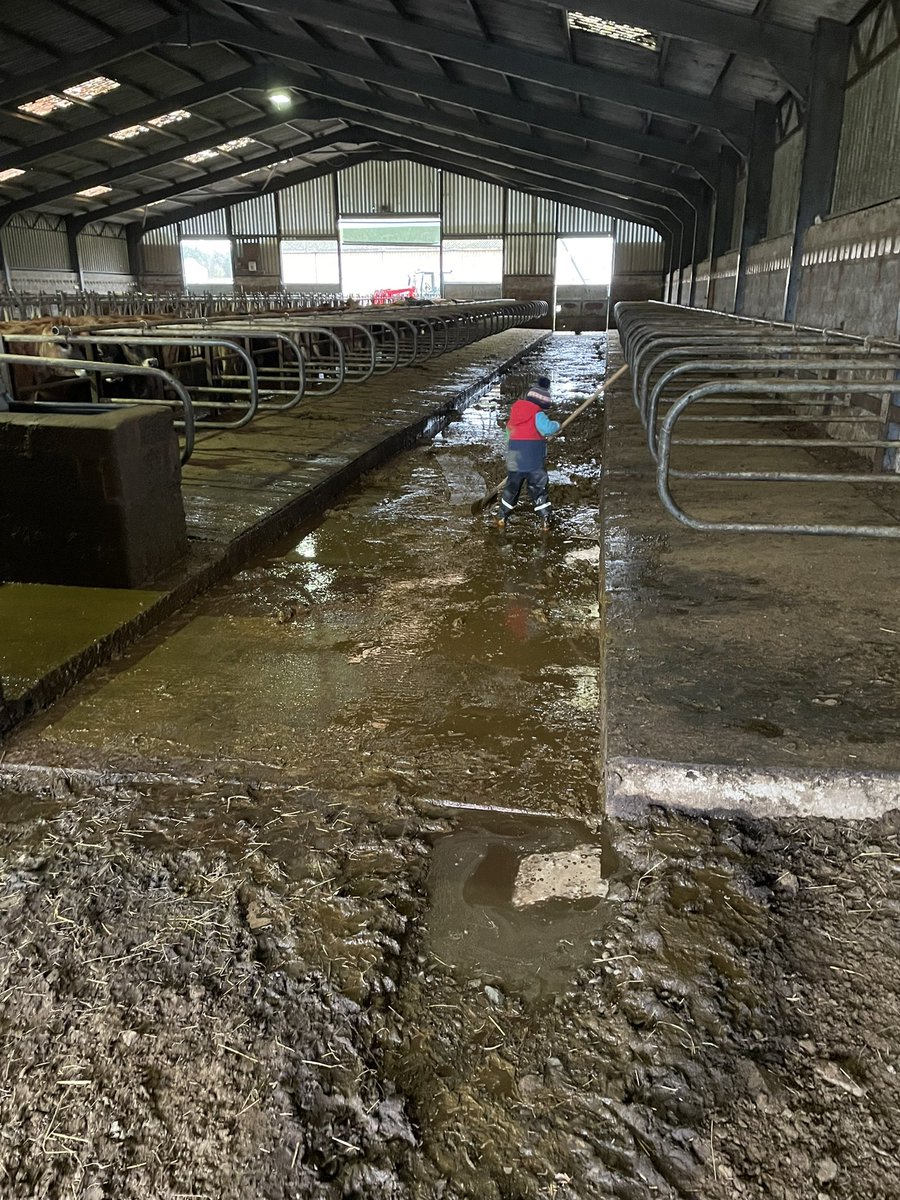 Stuart Graham tweet media