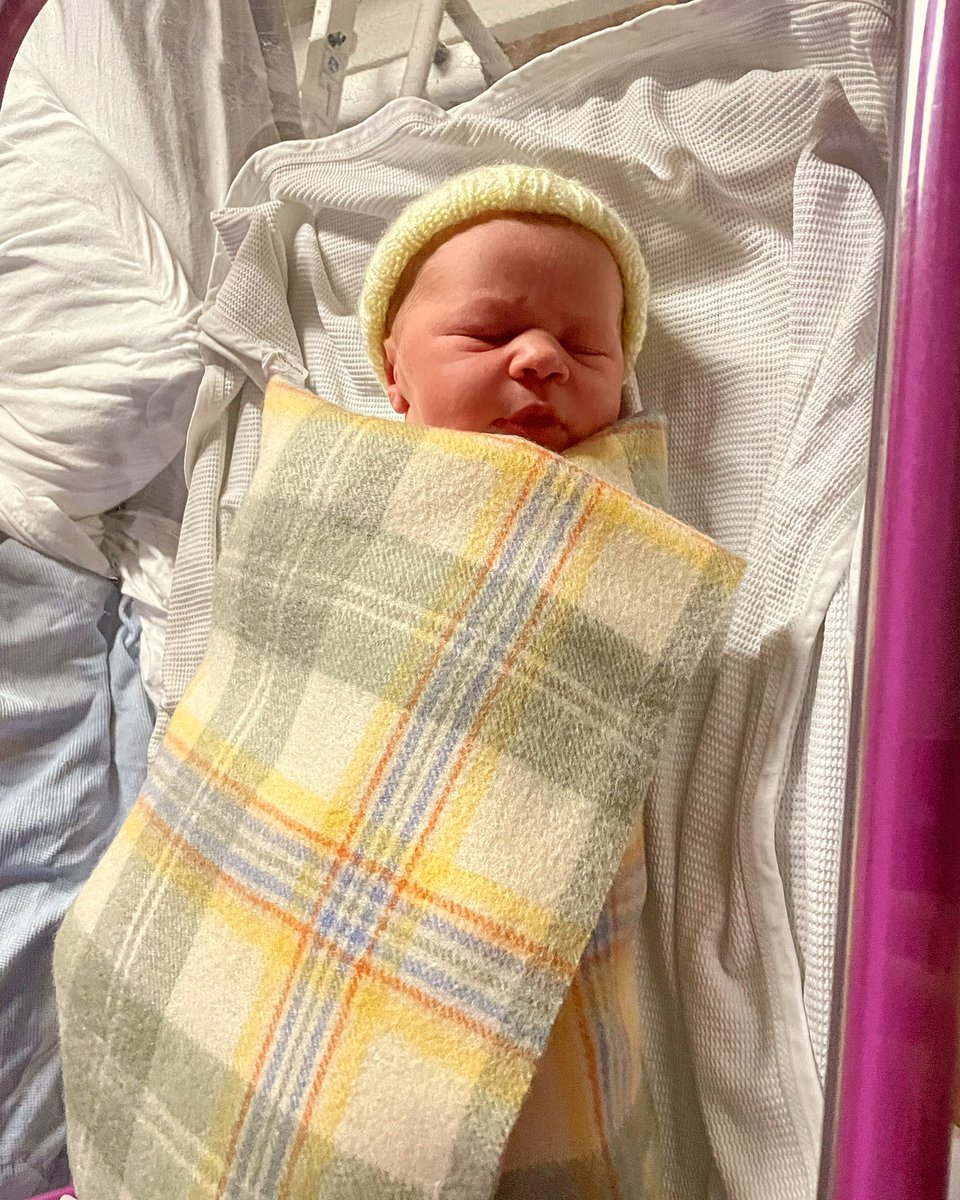 Stuart Graham tweet media