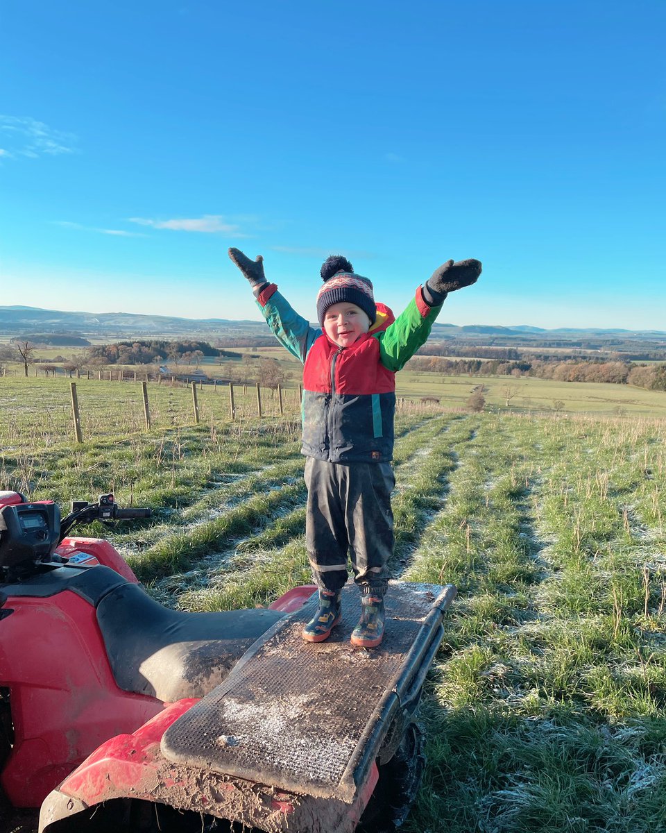 Stuart Graham tweet media