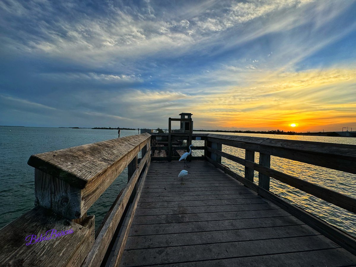 SaltyBebeFL's tweet photo. So cold and pretty tonight down in Placida (Gasparilla Sound).
Who turned off the heat? 🤣🥰
#welivehere #Florida #TwitterNaturePhotography #TwitterNatureCommunity #xnature #stormhour #ThePhotoHour #beaches #flwx #whitegret #snowegret #fishingpier #placida #gasparillasound https://t.co/bJeE3b7dna