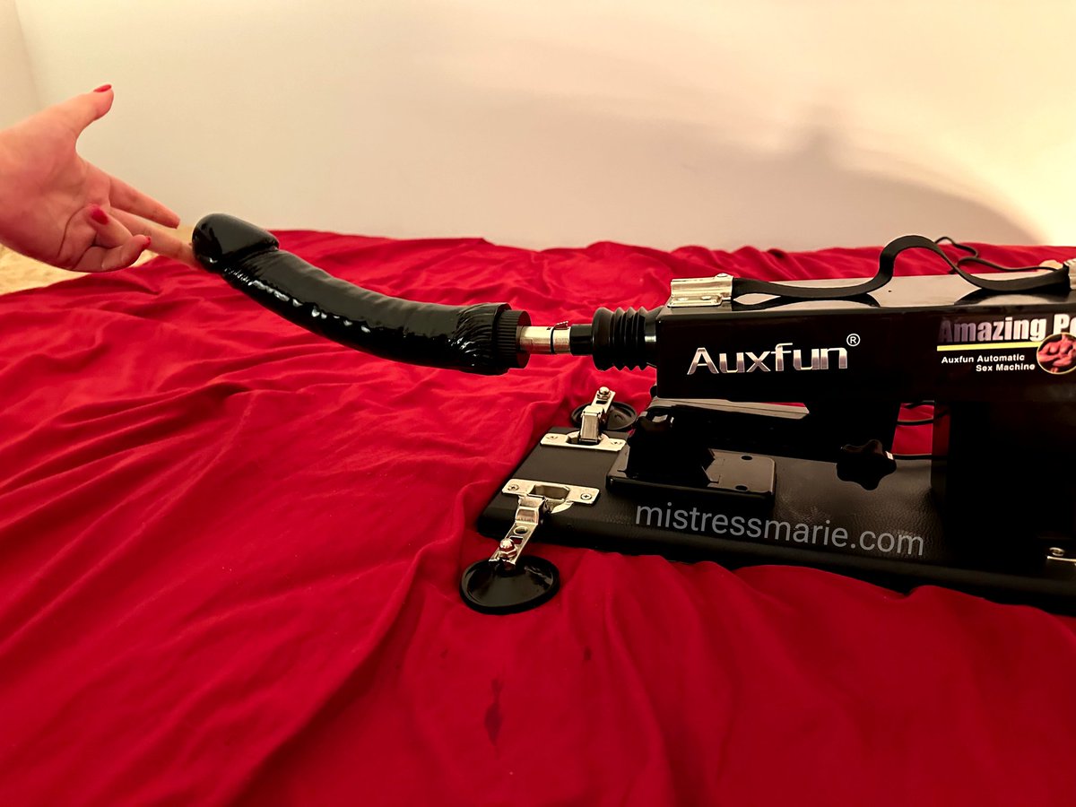 itsmariedesade's tweet photo. Weapon of ass destruction 🕸 https://t.co/LttuBKuGf7