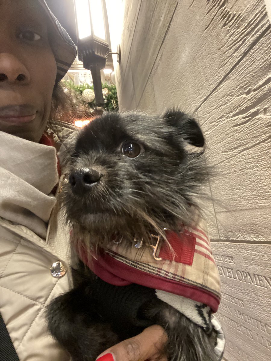 NikkiBeauchamp's tweet photo. Just a gal and a pup on a stroll @HudsonThird on what feels like a warm evening and thankfully dry #winterwalkabout #nyc #uppereastside https://t.co/aqotQeaHxi