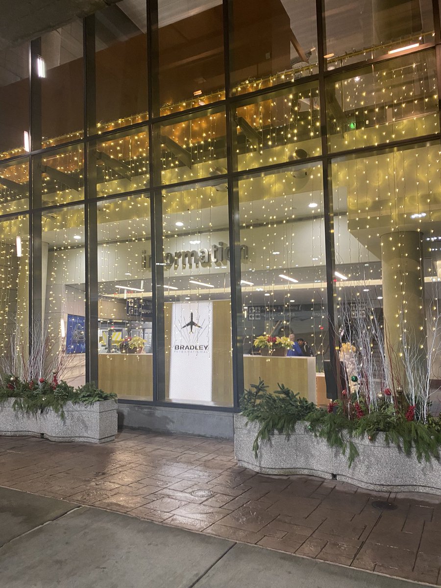 spookyflower tweet media