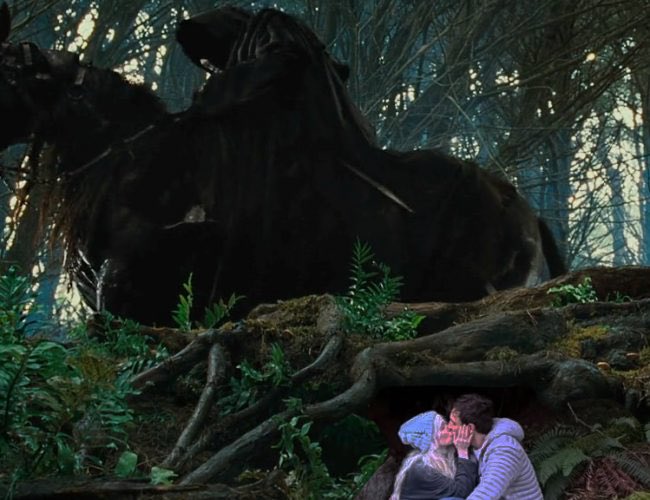 hayesdm_'s tweet photo. Carly and Cole out here hiding from the Nazgûl https://t.co/sYmGmdmgYe