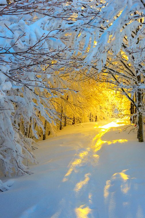 oscarar66072763's tweet photo. El Solsticio  de invierno  siempre ha sido especial para mí  cómo una oscuridad estéril  que da luz a un futuro verde más allá de la imaginación. 
Gary  Zukaw. https://t.co/v2ThstVb9a
