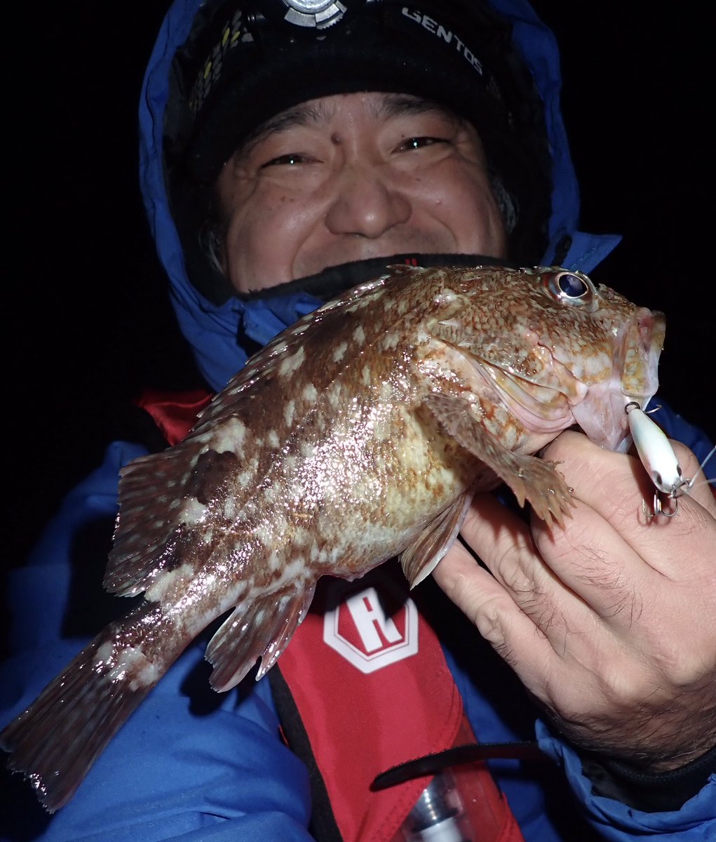 8DDPLPd09dGG31k's tweet photo. 12月26日
プラッキングメバルにて^_^
#RAPALA
#ラパラ
#ラパラジャパン
#ラパラPR
#フラッタースティックマッドフラッシュ4
#フラ4
#RAPLINEPE
#ラップラインPE
#ラッププレミアムショックリーダー
#メバル
#メバリング
#プラッキングメバル
#カサゴ
#越前海岸
#福井の釣り https://t.co/vDXaVOfeY9