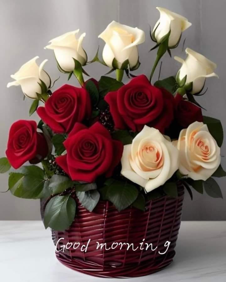 <a href="/NKhutoryan/">Natalia Khutoryan</a>