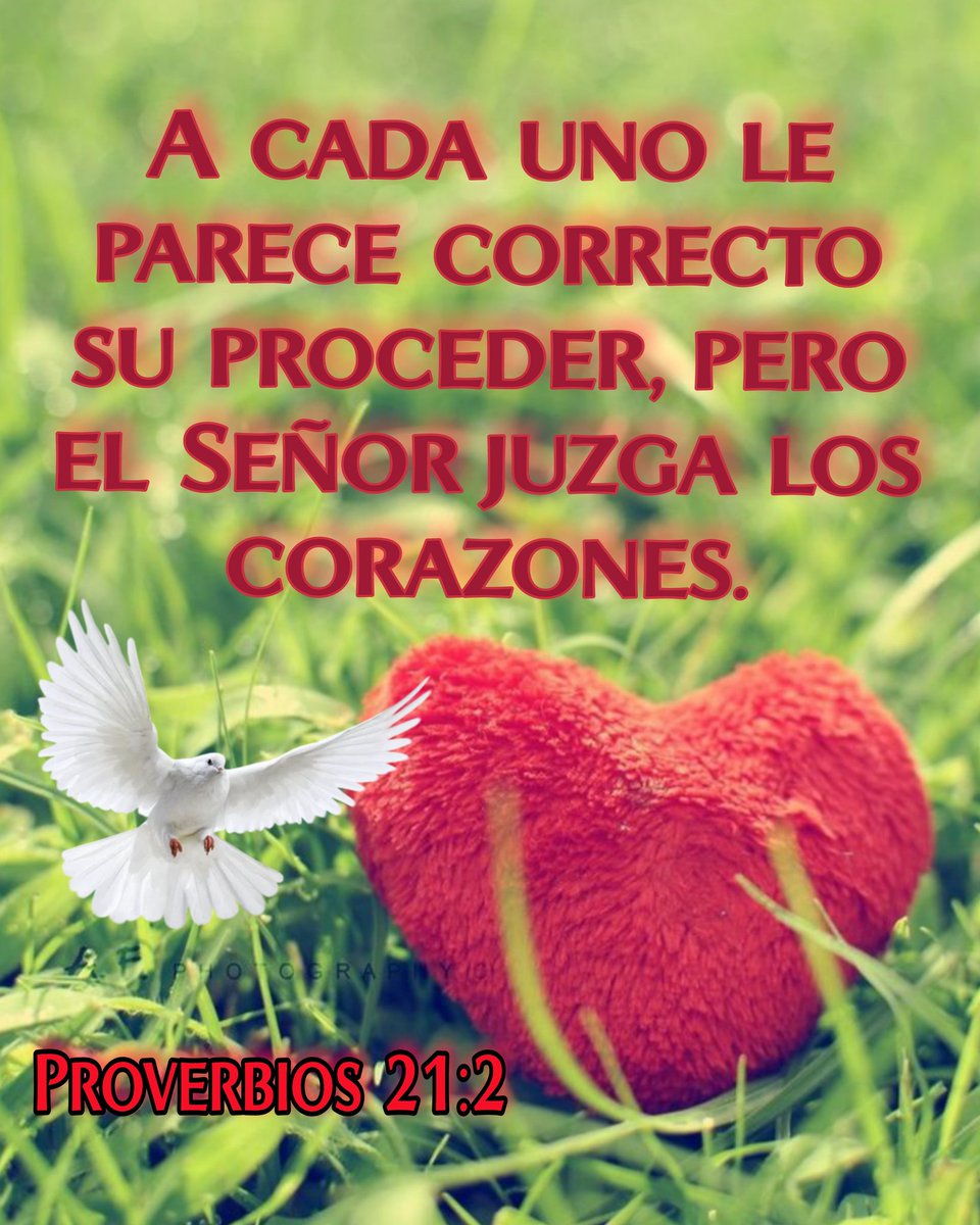 Reflexiones Y Textos De La Bíblia (@yeimy543) on Twitter photo 