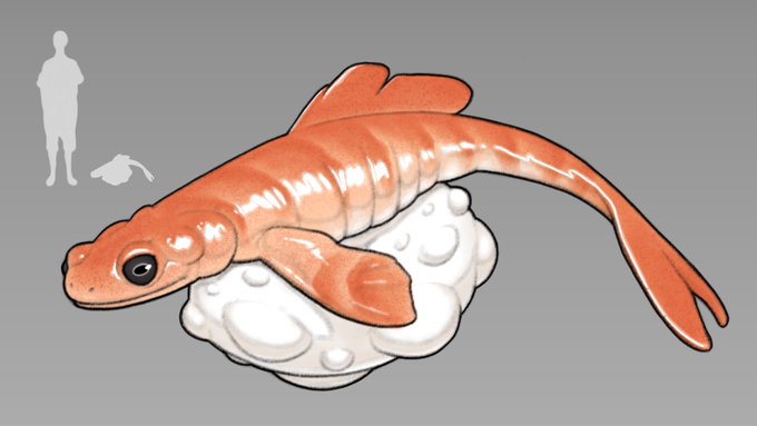 「goldfish simple background」 illustration images(Latest)