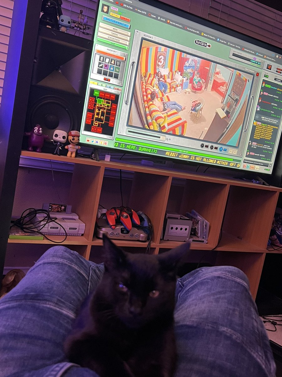 goodhumorman_'s tweet photo. #Fishtanklive #cat #cattank https://t.co/JS43Rq3hDK