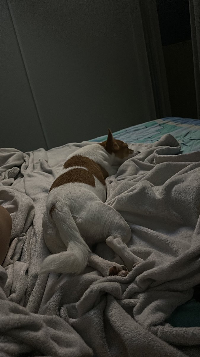 anapsleal's tweet photo. Amor da minha vida t o d a.  💜 https://t.co/ByfQnlR8R8
