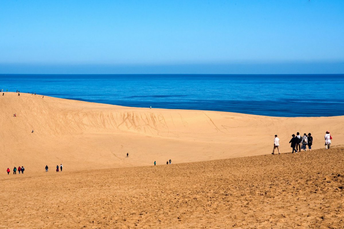Starbucks in Japan hits different. They collaborate with local artisans to create unique mugs that embody different regions of Japan. This mug only available at their Tottori location is inspired by the sand dunes.