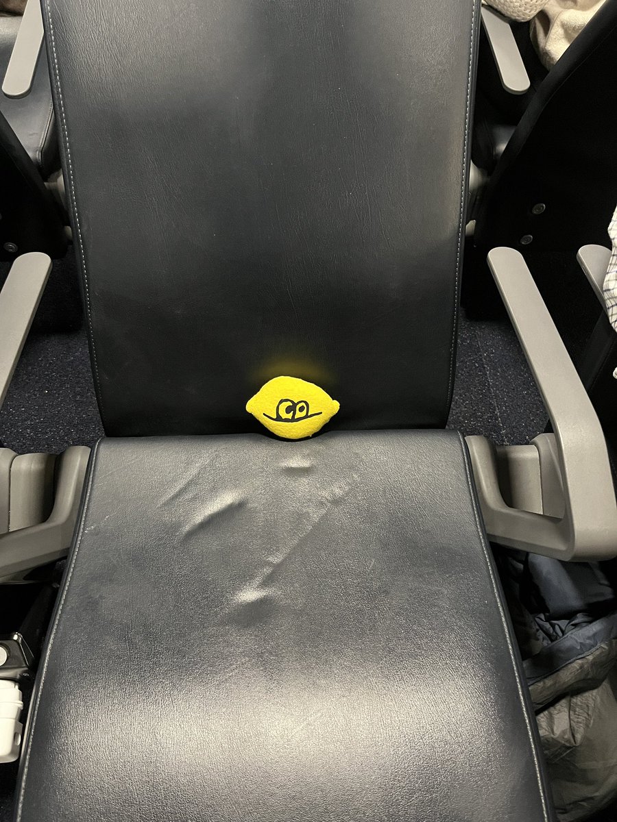 More from my trip to NYC. I’m back with Pickle now 😊🍋