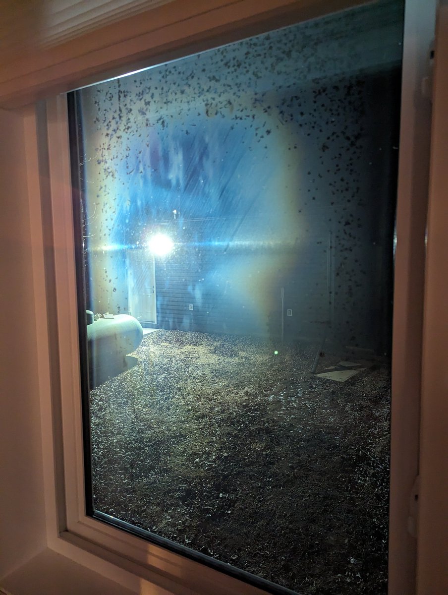 schmidty66's tweet image. Ahh #FancyWindows Edmonton finest quality. Junk at any cost. Do yourself a favor and spend a little more otherwise this will be your view in 3 years.