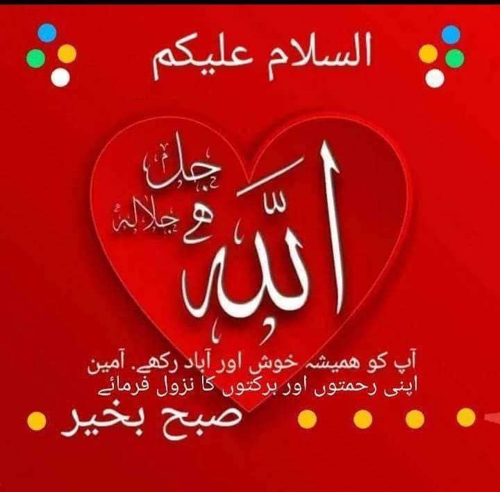 sheikhaltafhus5's tweet photo. السلام علیکم و رحمۃ اللہ وبرکاتہ۔۔۔
اللہ کریم آپ سب کو ھمیشہ اپنی حفظ و امان میں رکھیں آمین ثم آمین یارب العالمین
خوش رھیں سلامت رھیں خوشیاں بانٹیں۔۔۔ https://t.co/NK81vBiJah