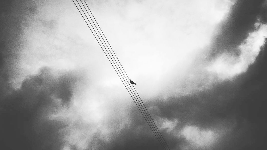 newspectres tweet media