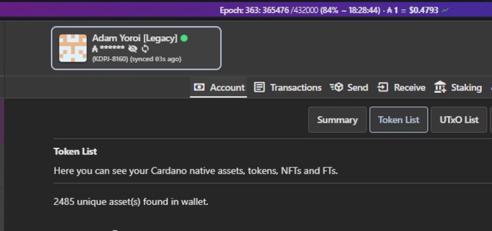 Av__Sebastian's tweet photo. 🧵(1/n) Have a lot of tokens in your wallet and occasionally have problems when attempting to interact with a dApp, token mint, or simply trying to send funds from one wallet to another? Luckily eternlwallet is here to help! #Cardano #community #GoingForNumber1 #AllDayEveryDay https://t.co/G0NswgdeLs
