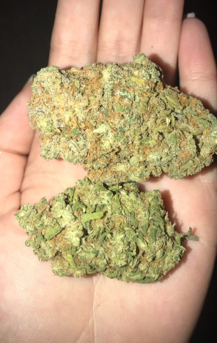 Guess this strain 💨💨
#plantmedicine #weedfarmer #weedlife #Weedlovers #weedsellers #cannabisforhealth #cannabiscoach