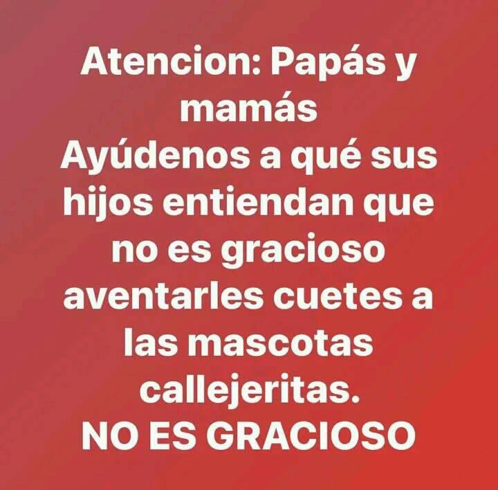 mayumiguillen's tweet photo. https://t.co/XgSGQcScZf