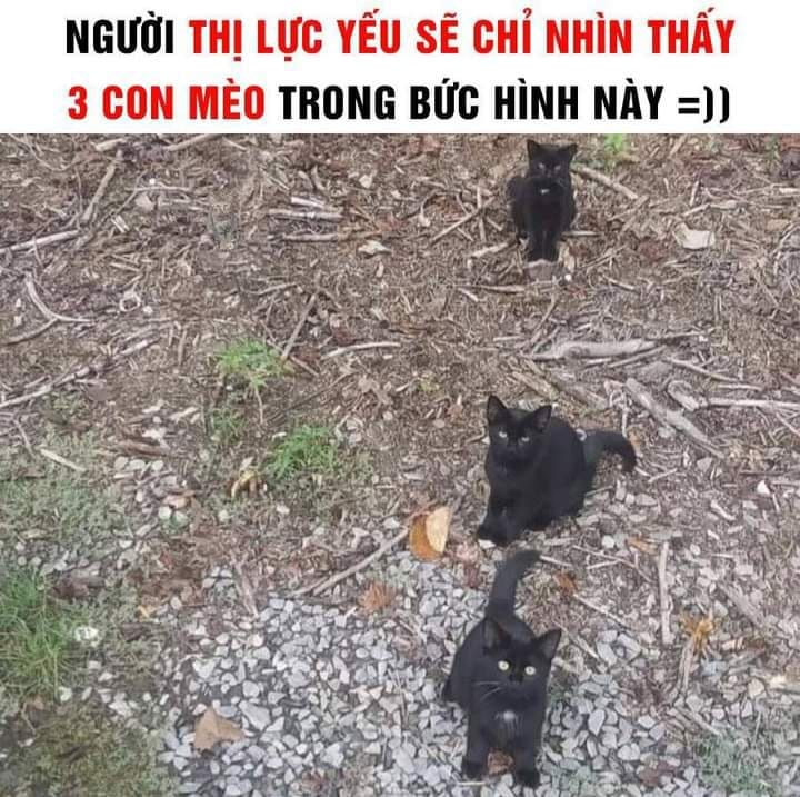 zung0612's tweet photo. nhìn mãi chả thấy con thứ 4 :(( https://t.co/lmTD2dCvT2