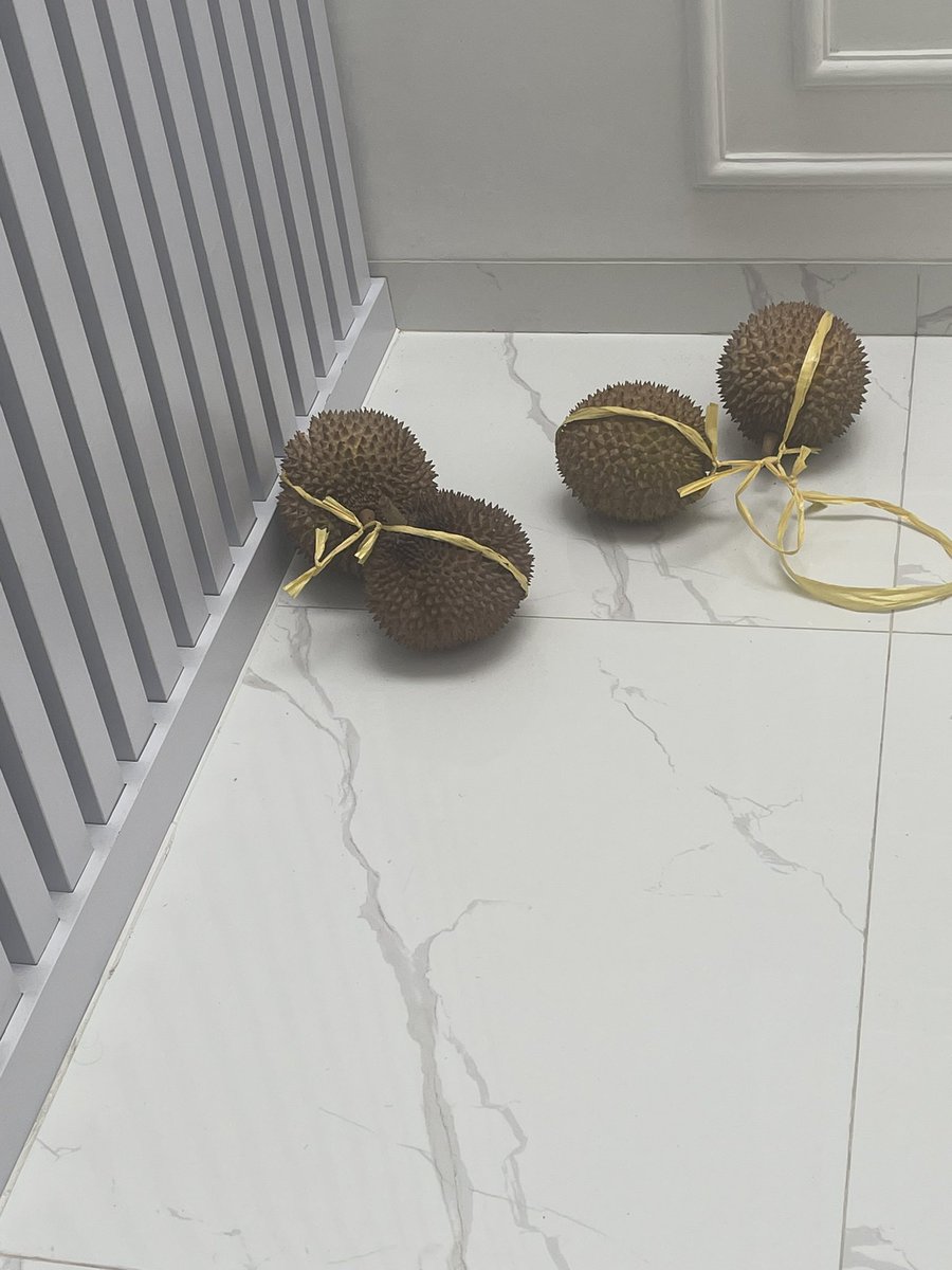 BangEdiii's tweet photo. gw ditinggal sendirian di rumah, cuma dibekalin rambutan 4biji doang, tega amat yaak😑 https://t.co/UZo1fGodKN