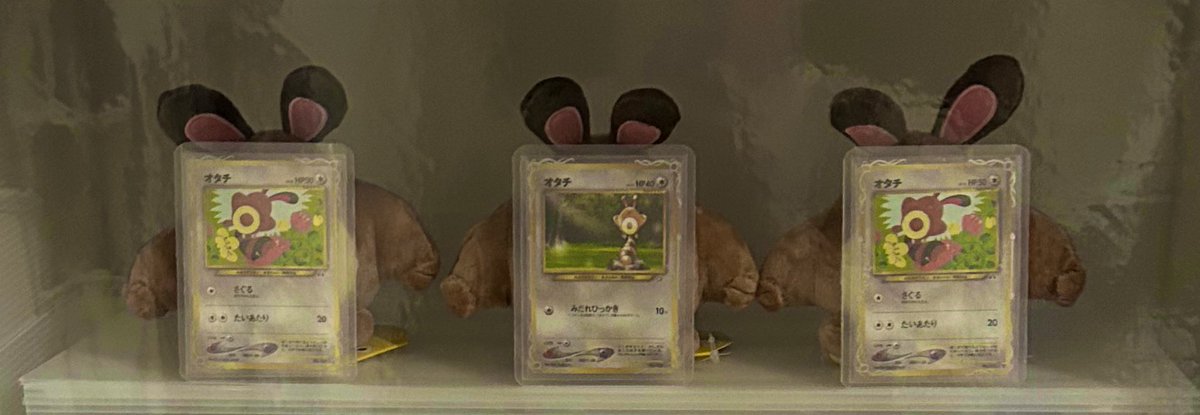 つよぴーん tweet media